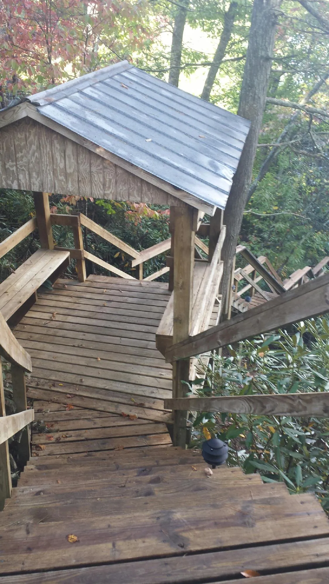 Metal roofed shelter over wooden steps on a wooded walkway — Skylight Repair & Installation work by our crew in Brinnon